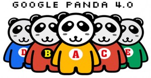 google panda 4-0 güncellemesi
